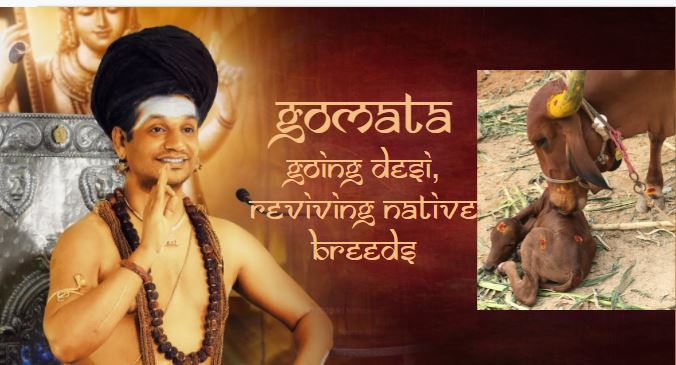 Gomata – Going Desi, Reviving Native Breeds